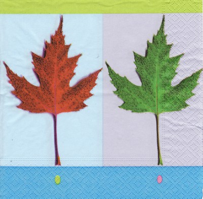Red & green maple leaves